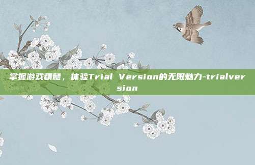 掌握游戏精髓,体验Trial Version的无限魅力-trialversion