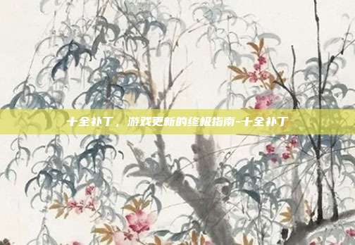 十全补丁,游戏更新的终极指南-十全补丁