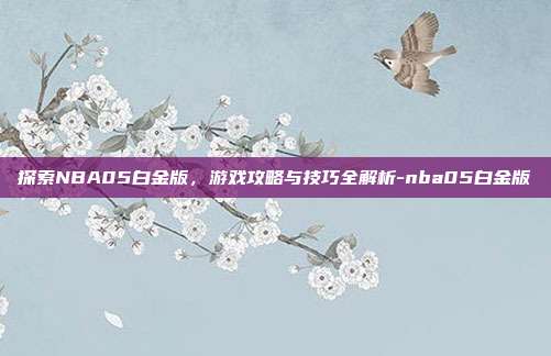 探索NBA05白金版,游戏攻略与技巧全解析-nba05白金版