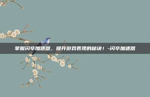 掌握闪卒加速器,提升游戏表现的秘诀!-闪卒加速器