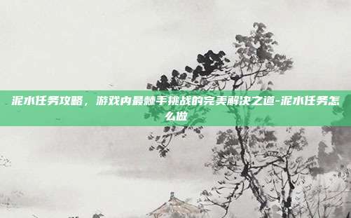 泥水任务攻略,游戏内最棘手挑战的完美解决之道-泥水任务怎么做
