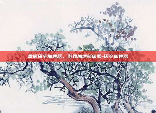 掌握闪卒加速器,游戏加速新体验-闪卒加速器