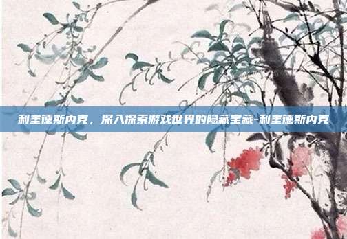 利奎德斯内克,深入探索游戏世界的隐藏宝藏-利奎德斯内克