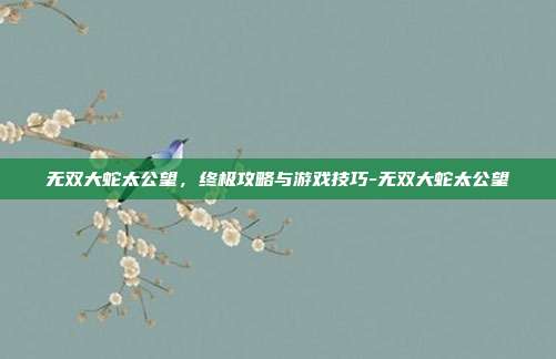 无双大蛇太公望,终极攻略与游戏技巧-无双大蛇太公望