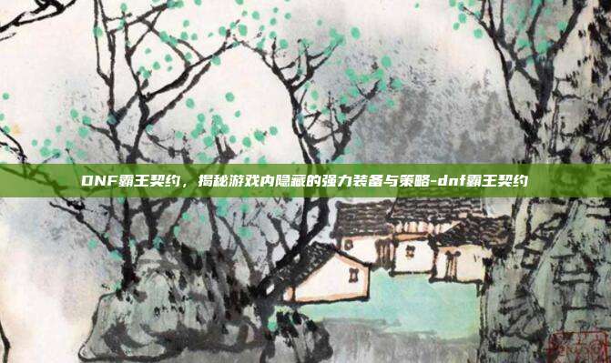 DNF霸王契约,揭秘游戏内隐藏的强力装备与策略-dnf霸王契约