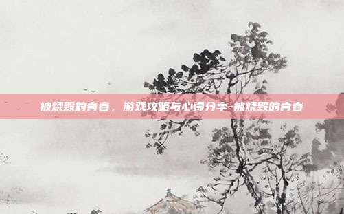 被烧毁的青春,游戏攻略与心得分享-被烧毁的青春