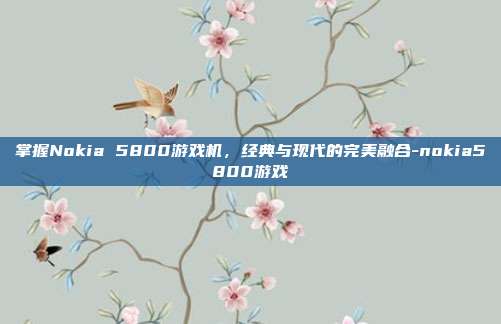 掌握Nokia 5800游戏机,经典与现代的完美融合-nokia5800游戏