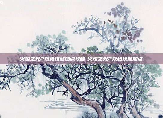 火炬之光2双枪技能加点攻略-火炬之光2双枪技能加点