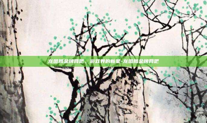 龙图腾金牌网吧,游戏界的新星-龙图腾金牌网吧