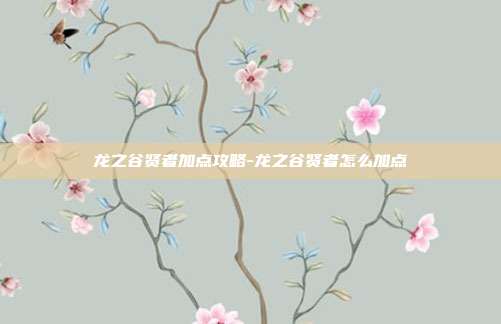 龙之谷贤者加点攻略-龙之谷贤者怎么加点