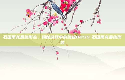 石田雨龙最终形态,揭秘游戏中的终极BOSS-石田雨龙最终形态