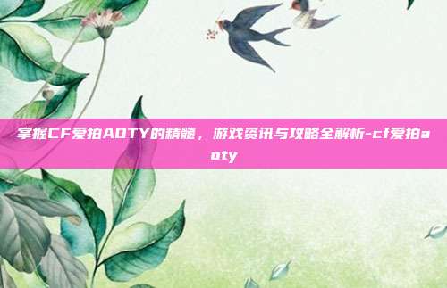 掌握CF爱拍AOTY的精髓,游戏资讯与攻略全解析-cf爱拍aoty