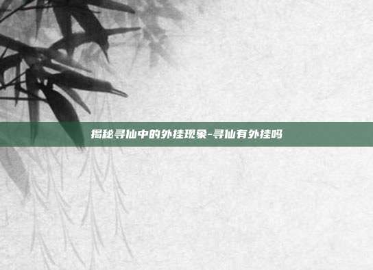 揭秘寻仙中的外挂现象-寻仙有外挂吗