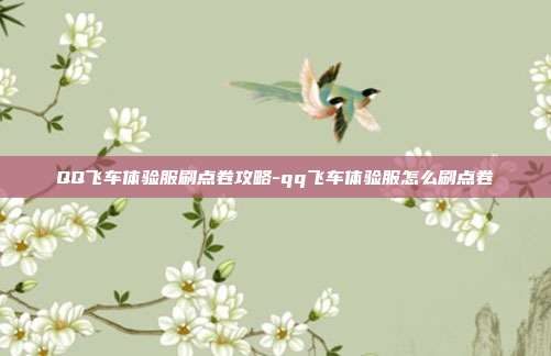QQ飞车体验服刷点卷攻略-qq飞车体验服怎么刷点卷