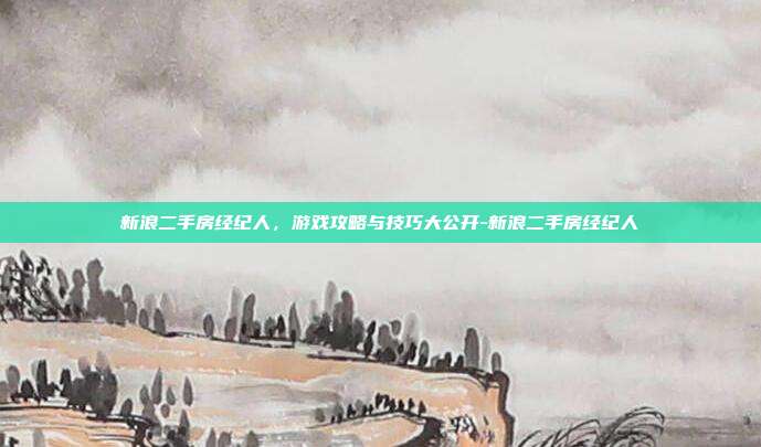 新浪二手房经纪人,游戏攻略与技巧大公开-新浪二手房经纪人