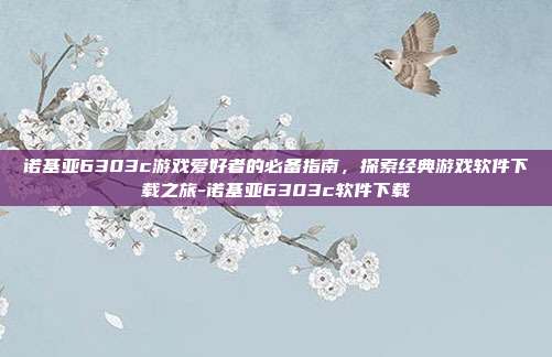 诺基亚6303c游戏爱好者的必备指南,探索经典游戏软件下载之旅-诺基亚6303c软件下载