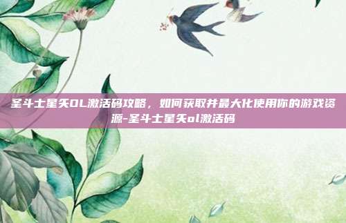 圣斗士星矢OL激活码攻略,如何获取并最大化使用你的游戏资源-圣斗士星矢ol激活码