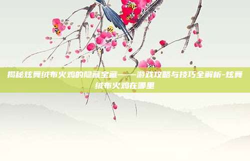 揭秘炫舞绒布火鸡的隐藏宝藏——游戏攻略与技巧全解析-炫舞绒布火鸡在哪里