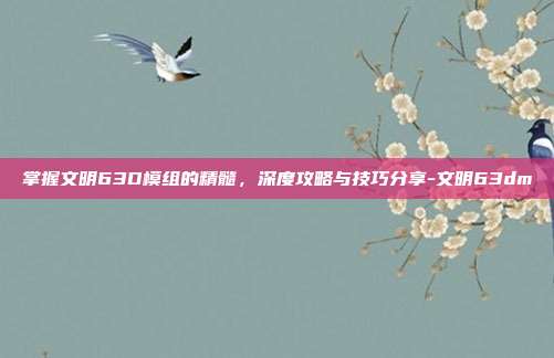 掌握文明63D模组的精髓,深度攻略与技巧分享-文明63dm