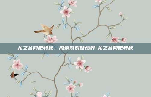 龙之谷网吧特权,探索游戏新境界-龙之谷网吧特权