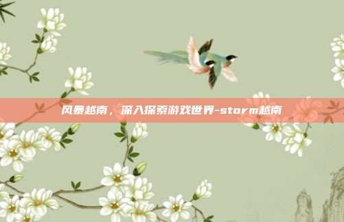 风暴越南,深入探索游戏世界-storm越南