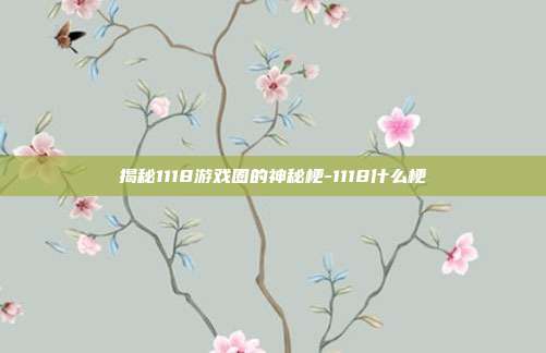揭秘1118游戏圈的神秘梗-1118什么梗