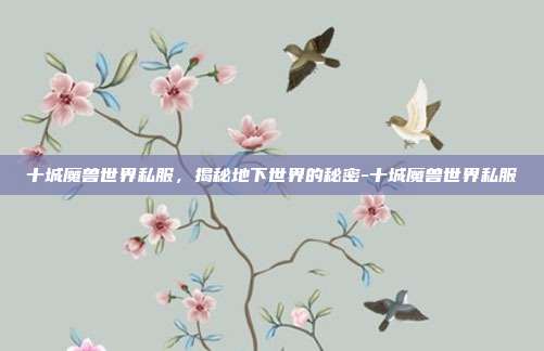 十城魔兽世界私服,揭秘地下世界的秘密-十城魔兽世界私服