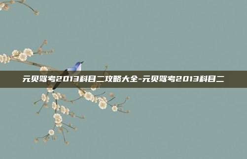 元贝驾考2013科目二攻略大全-元贝驾考2013科目二