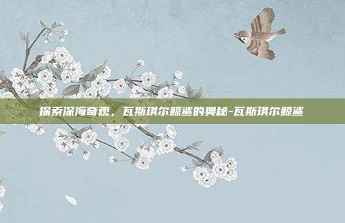 探索深海奇观,瓦斯琪尔鲸鲨的奥秘-瓦斯琪尔鲸鲨