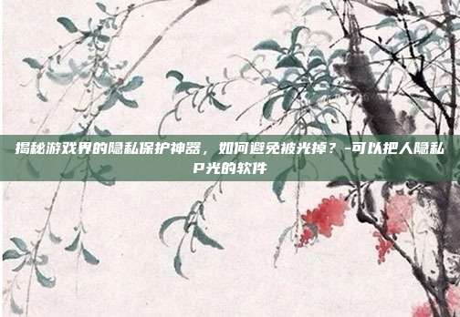 揭秘游戏界的隐私保护神器,如何避免被光掉?-可以把人隐私P光的软件