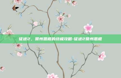 征途2,常州恶棍的终极攻略-征途2常州恶棍