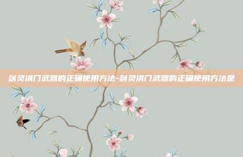 剑灵洪门武器的正确使用方法-剑灵洪门武器的正确使用方法是