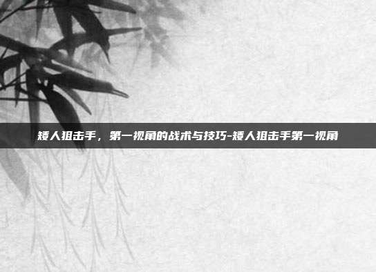 矮人狙击手,第一视角的战术与技巧-矮人狙击手第一视角