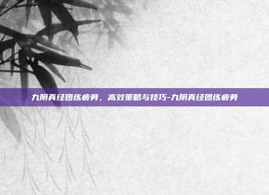 九阴真经团练疲劳,高效策略与技巧-九阴真经团练疲劳