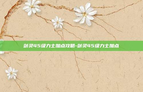 剑灵45级力士加点攻略-剑灵45级力士加点