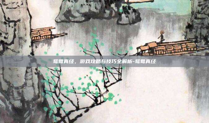鸳鸯真经,游戏攻略与技巧全解析-鸳鸯真经