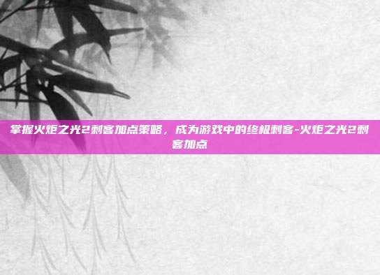 掌握火炬之光2刺客加点策略,成为游戏中的终极刺客-火炬之光2刺客加点