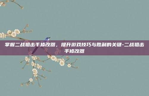 掌握二战狙击手修改器,提升游戏技巧与胜利的关键-二战狙击手修改器