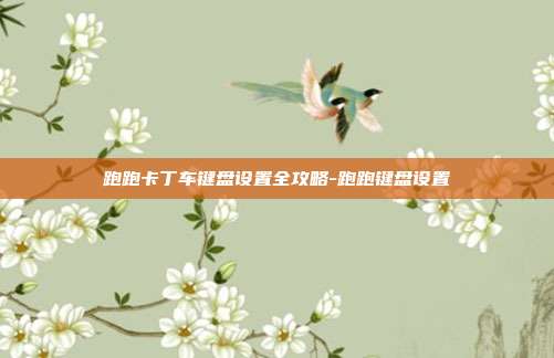 跑跑卡丁车键盘设置全攻略-跑跑键盘设置
