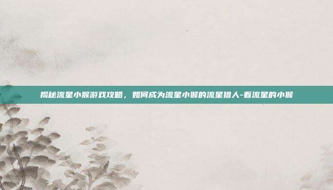 揭秘流星小猴游戏攻略,如何成为流星小猴的流星猎人-看流星的小猴