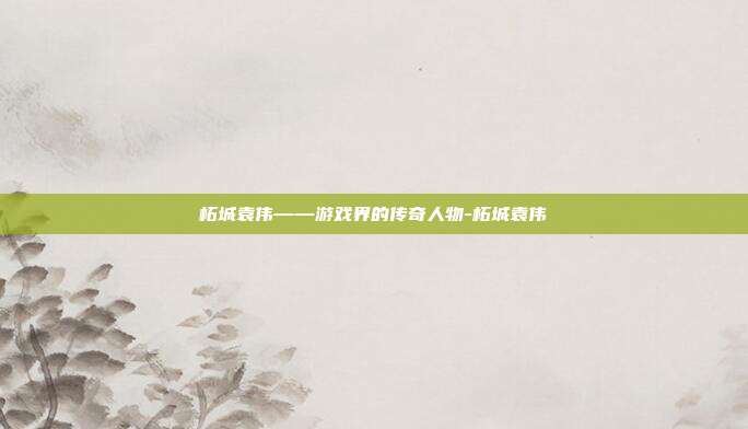 柘城袁伟——游戏界的传奇人物-柘城袁伟