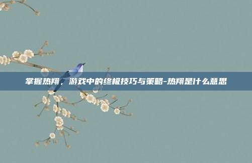 掌握热翔,游戏中的终极技巧与策略-热翔是什么意思