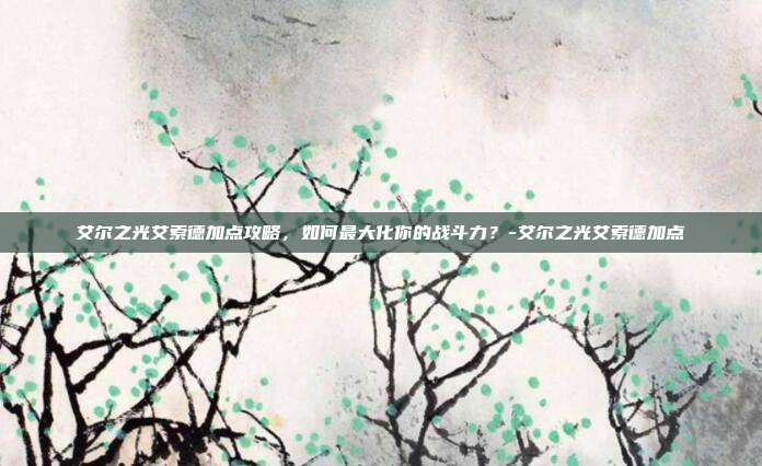 艾尔之光艾索德加点攻略,如何最大化你的战斗力?-艾尔之光艾索德加点