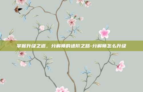 掌握升级之道,分解师的进阶之路-分解师怎么升级