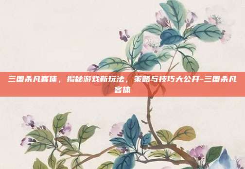 三国杀凡客体,揭秘游戏新玩法,策略与技巧大公开-三国杀凡客体