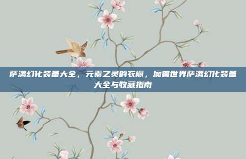 萨满幻化装备大全,元素之灵的衣橱,魔兽世界萨满幻化装备大全与收藏指南