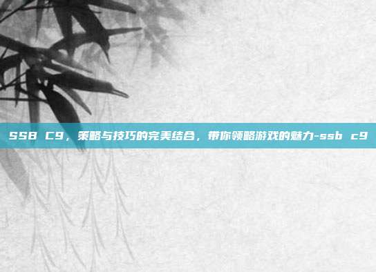 SSB C9,策略与技巧的完美结合,带你领略游戏的魅力-ssb c9