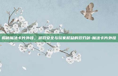 揭秘魔法卡片外挂,游戏安全与玩家权益的双刃剑-魔法卡片外挂