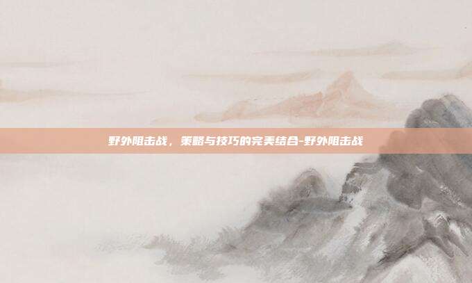 野外阻击战,策略与技巧的完美结合-野外阻击战