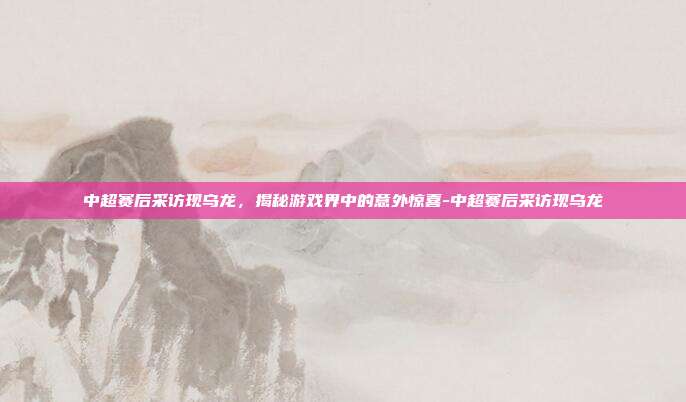 中超赛后采访现乌龙,揭秘游戏界中的意外惊喜-中超赛后采访现乌龙